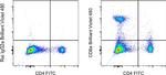 CD8a Antibody in Flow Cytometry (Flow)