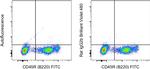 Rat IgG2b kappa Isotype Control in Flow Cytometry (Flow)