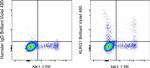 KLRG1 Antibody in Flow Cytometry (Flow)