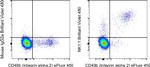 NK1.1 Antibody in Flow Cytometry (Flow)