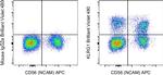 KLRG1 Antibody in Flow Cytometry (Flow)