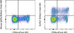 KLRG1 Antibody in Flow Cytometry (Flow)