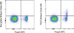 TIGIT Antibody in Flow Cytometry (Flow)