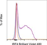 IRF4 Antibody in Flow Cytometry (Flow)