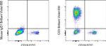 CD3 Antibody in Flow Cytometry (Flow)