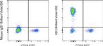 CD3 Antibody in Flow Cytometry (Flow)