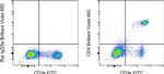 CD4 Antibody in Flow Cytometry (Flow)