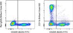 CD11b Antibody in Flow Cytometry (Flow)