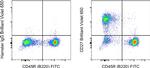 CD27 Antibody in Flow Cytometry (Flow)