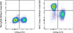 MHC Class II (I-A/I-E) Antibody in Flow Cytometry (Flow)