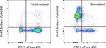 Ki-67 Antibody in Flow Cytometry (Flow)