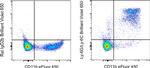 Ly-6G/Ly-6C Antibody in Flow Cytometry (Flow)