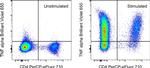 TNF alpha Antibody in Flow Cytometry (Flow)