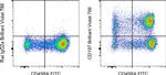 CD197 (CCR7) Antibody in Flow Cytometry (Flow)