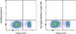 Rat IgG2a kappa Isotype Control in Flow Cytometry (Flow)