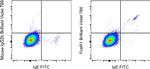 FceR1 alpha Antibody in Flow Cytometry (Flow)