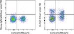 KLRG1 Antibody in Flow Cytometry (Flow)