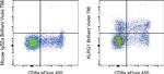 KLRG1 Antibody in Flow Cytometry (Flow)