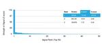 MDM2 Antibody in Peptide array (ARRAY)