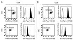 Pannexin 2 Antibody in Flow Cytometry (Flow)