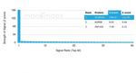 Mammaglobin (SCGB2A2) (Breast Cancer Marker) Antibody in Peptide array (ARRAY)