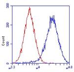 NDUFA13 Antibody in Flow Cytometry (Flow)