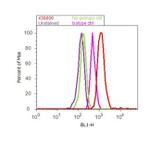 MMP2 Antibody in Flow Cytometry (Flow)