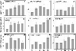 SRC (active) Antibody in Western Blot (WB)