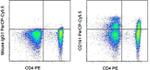 CD161 Antibody in Flow Cytometry (Flow)