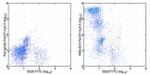 Ly-6G/Ly-6C Antibody in Flow Cytometry (Flow)