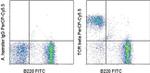 TCR beta Antibody in Flow Cytometry (Flow)