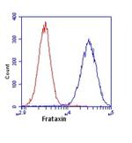 FXN Antibody in Flow Cytometry (Flow)