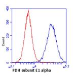 PDHA1 Antibody in Flow Cytometry (Flow)