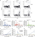 CD8a Antibody in Flow Cytometry (Flow)