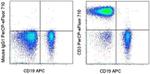 CD3 Antibody in Flow Cytometry (Flow)