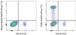 CD8a Antibody in Flow Cytometry (Flow)