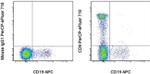 CD8a Antibody in Flow Cytometry (Flow)