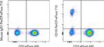 CD19 Antibody in Flow Cytometry (Flow)