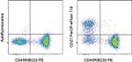 CD27 Antibody in Flow Cytometry (Flow)