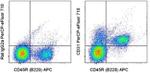 CD31 (PECAM-1) Antibody in Flow Cytometry (Flow)