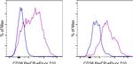 CD38 Antibody in Flow Cytometry (Flow)