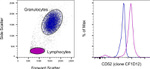 CD52 Antibody