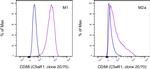 CD88 (C5aR1) Antibody