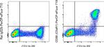 CD88 (C5aR1) Antibody in Flow Cytometry (Flow)