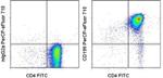 CD199 (CCR9) Antibody in Flow Cytometry (Flow)