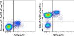 CD247 (CD3 zeta) Antibody in Flow Cytometry (Flow)