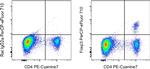 FOXP3 Antibody in Flow Cytometry (Flow)