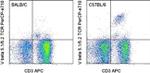 TCR V beta 5.1/5.2 Antibody in Flow Cytometry (Flow)