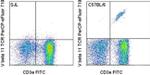 TCR V beta 11 Antibody in Flow Cytometry (Flow)