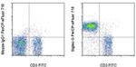 Siglec-G Antibody in Flow Cytometry (Flow)